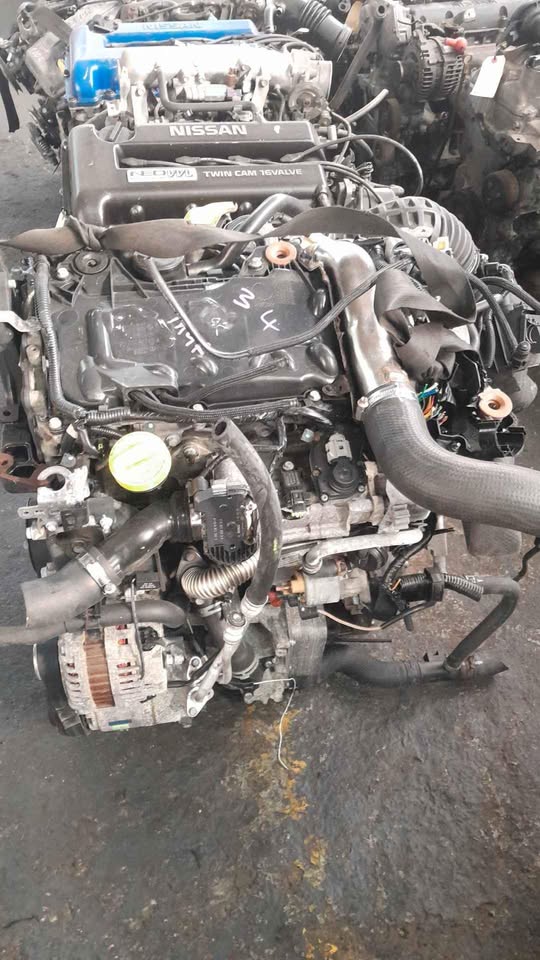 Nissan x trail ,Qashqai, megane 2.0tdi M9R engine for sale (zane azaad) - Private Seller