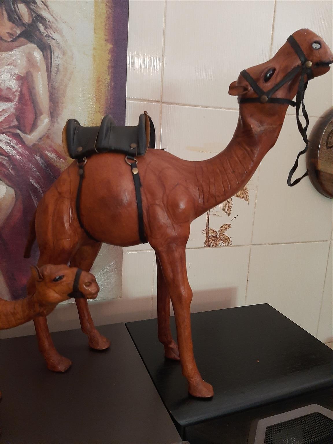 Camels - set of 3