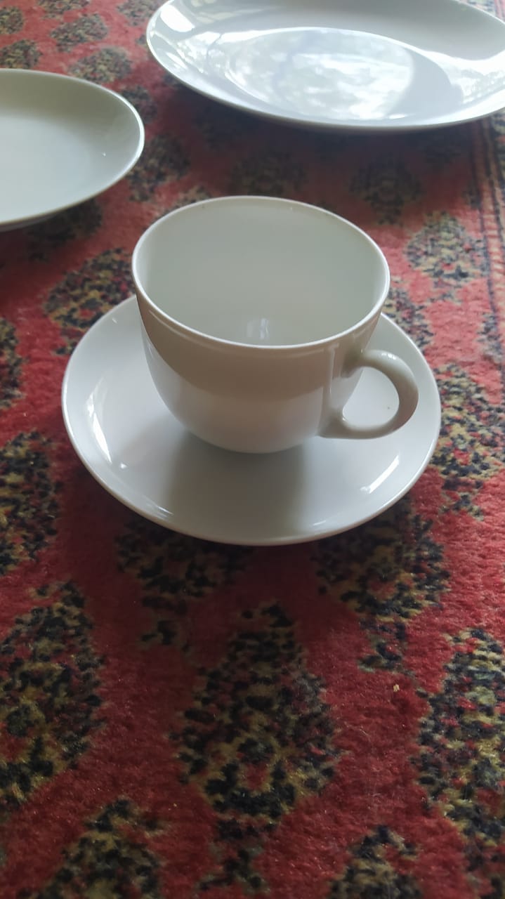 56 PIECE ARZBERG GERMANY CROCKERY SET