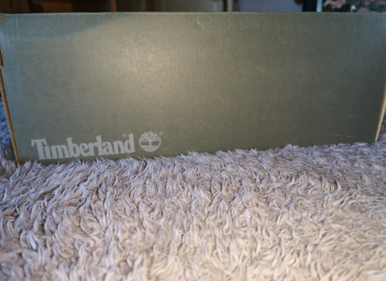 Bargain Brand new Timberland Shoes Unwanted Gift