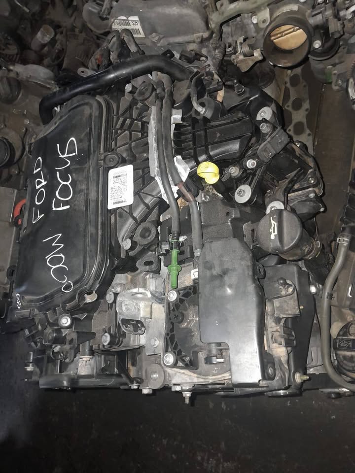 Ford Focus 2.0tdci TXDB Engine Available - Private Seller Ford Focus 2.0tdci TXDB Engine Available - Private Seller