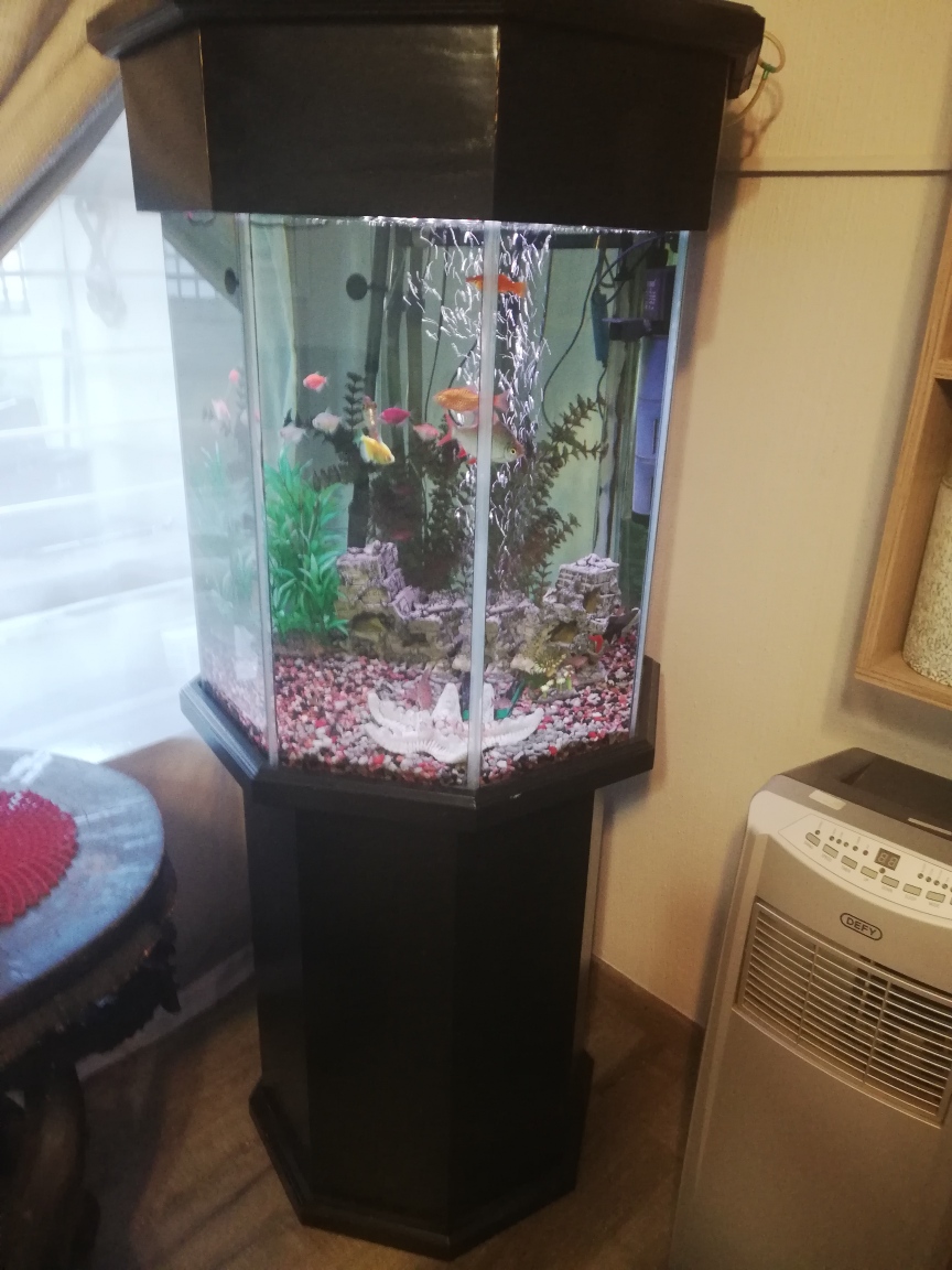 large octagon fish tank