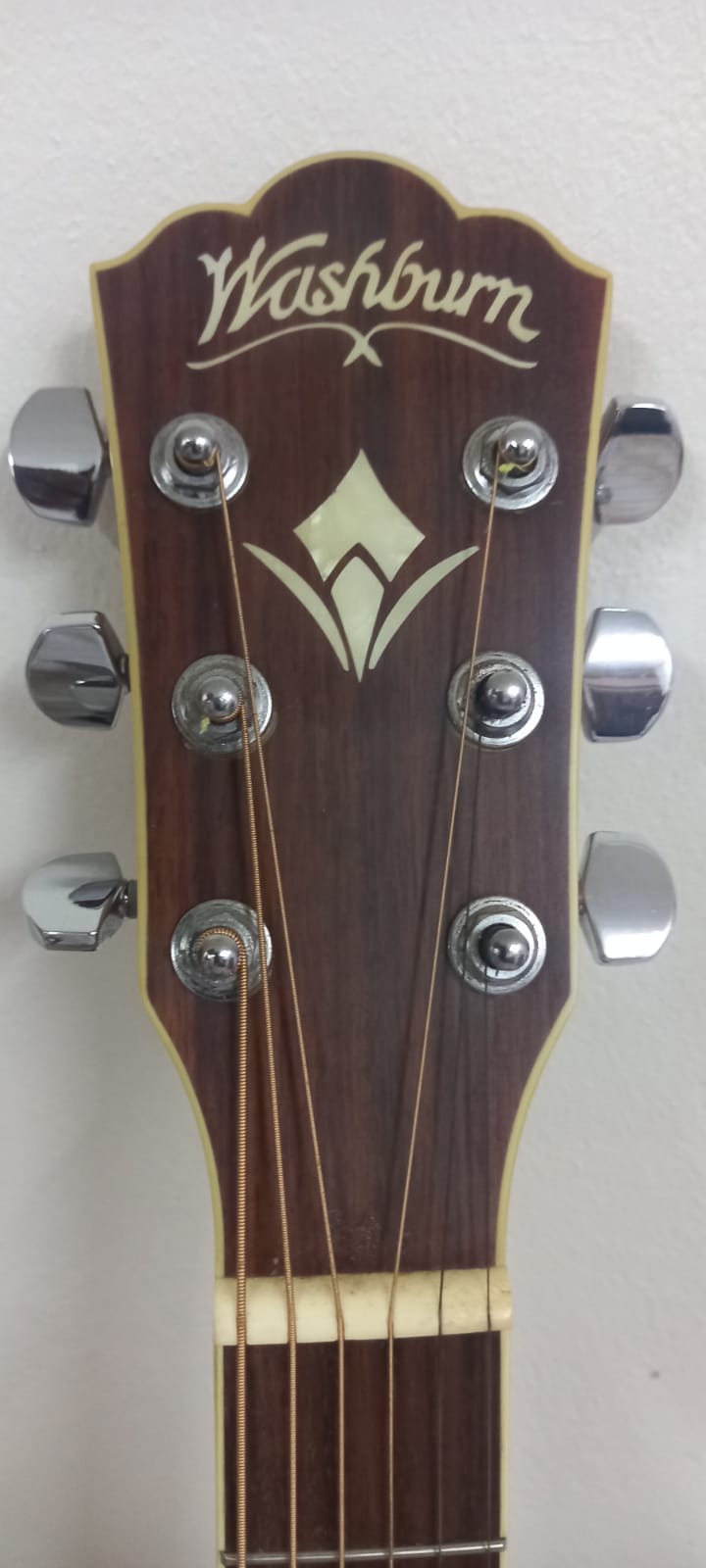 Washburn WD10S Acoustic Guitar 