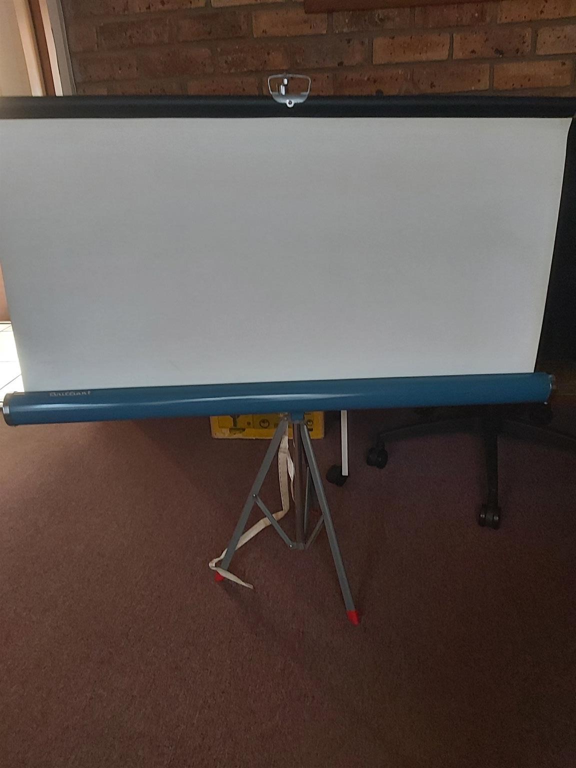 VINTAGE EUMIG MARK S PROJECTOR & BRILLAINT SCREEN FOR SALE