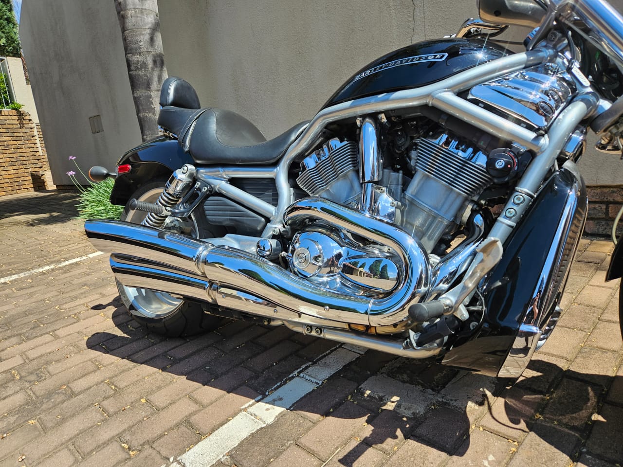 07 V Rod American Harley-Davidson V-Rod – 2007 | Junk Mail Marketplace