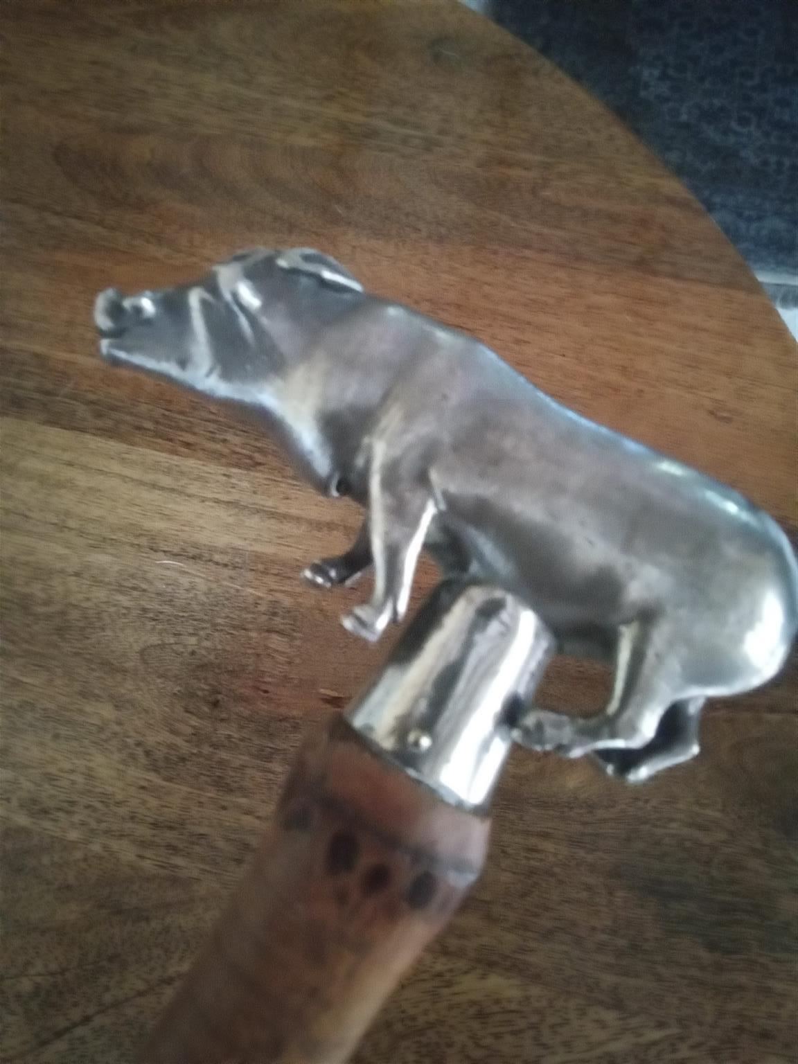 Antique cane and pure silver walking stick
