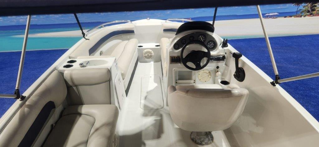 RAVEN EXCALDO 17 FT ON TRAILER 115 HP MERCURY OPTIMAX 2012 MODEL