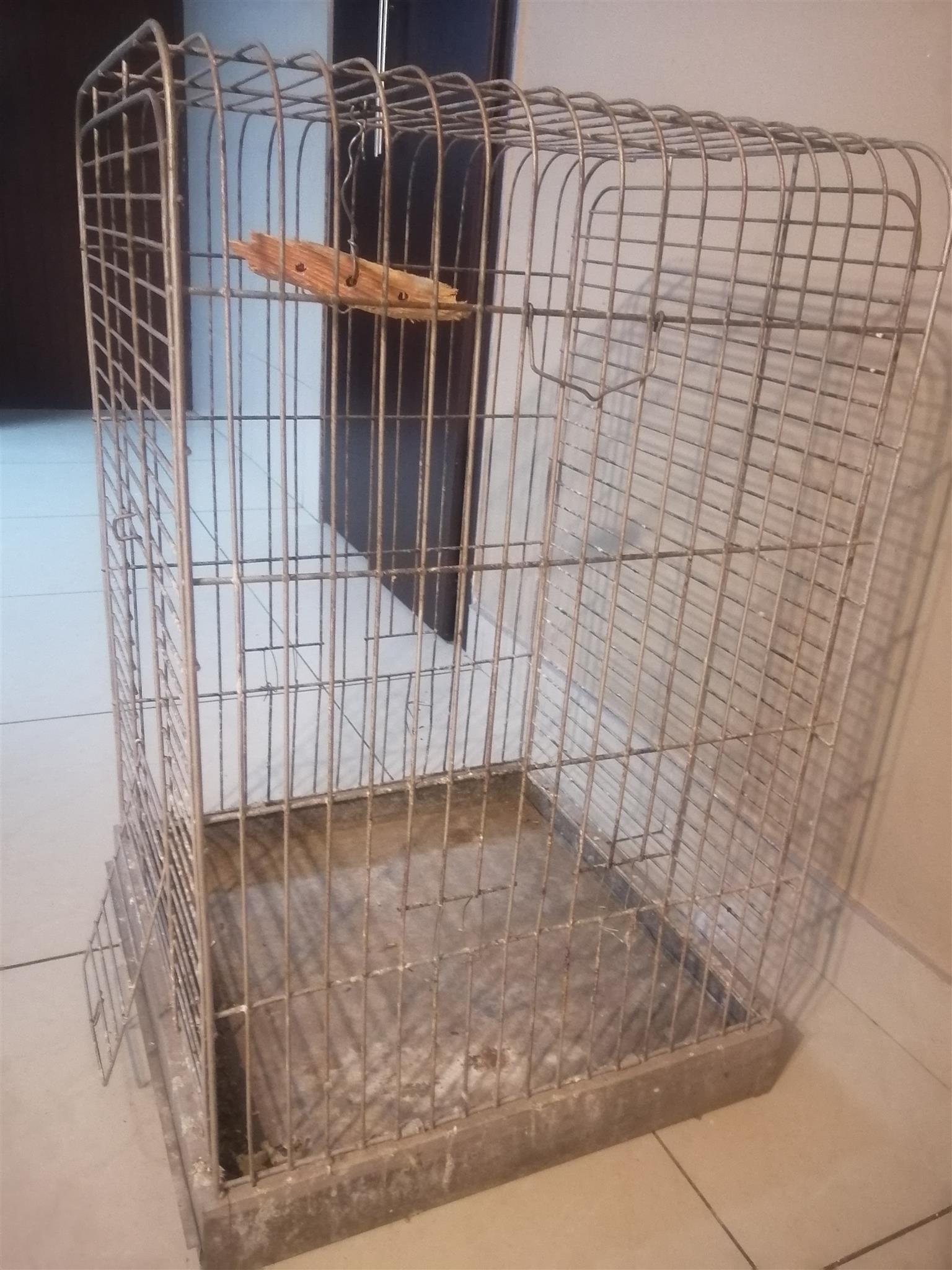 bird cage big