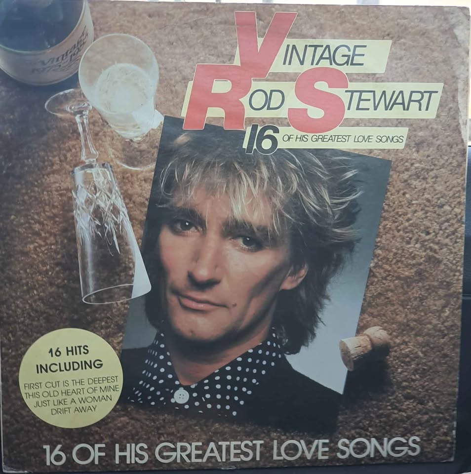 Rod Stewart vinyl lps x2