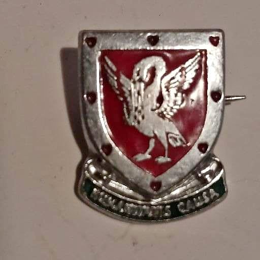 Blood donor, very old badge Blood donor, very old badge