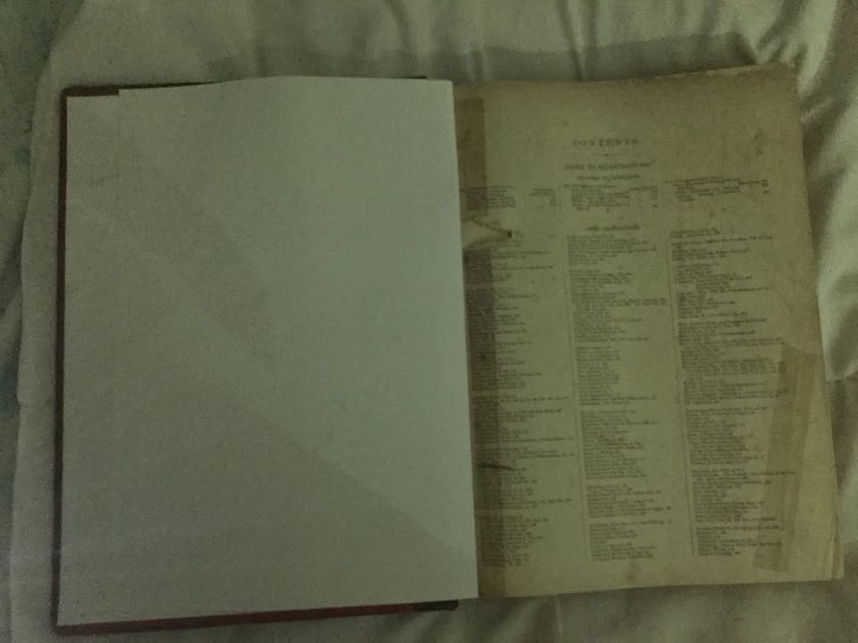 Harper’s Young People 1891