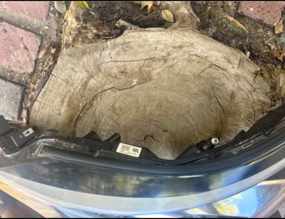 Toyota C-hr left side headlight - Private Seller Toyota C-hr left side headlight - Private Seller
