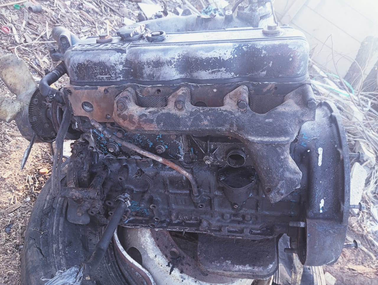 Isuzu Engine 4BA1 - Private Seller