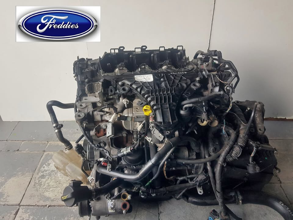 Ford Focus 2.0 Diesel Engine! - Private Seller Ford Focus 2.0 Diesel Engine! - Private Seller