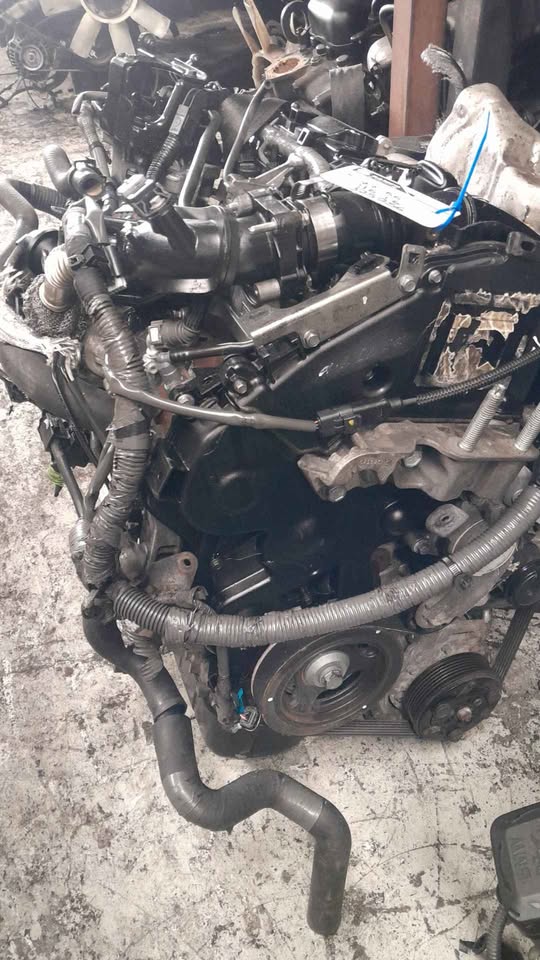 FORD 1.6 TDCI engine diesel turbo for sale - Private Seller FORD 1.6 TDCI engine diesel turbo for sale - Private Seller