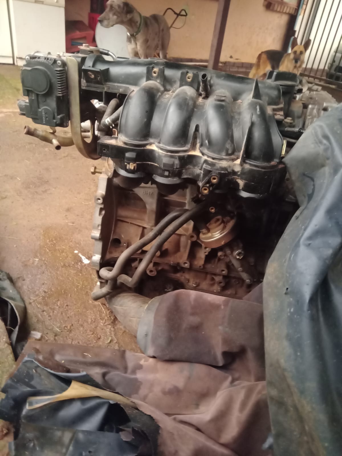 Nissan Xtrial 2LT petol engine. - Private Seller Nissan Xtrial 2LT petol engine. - Private Seller