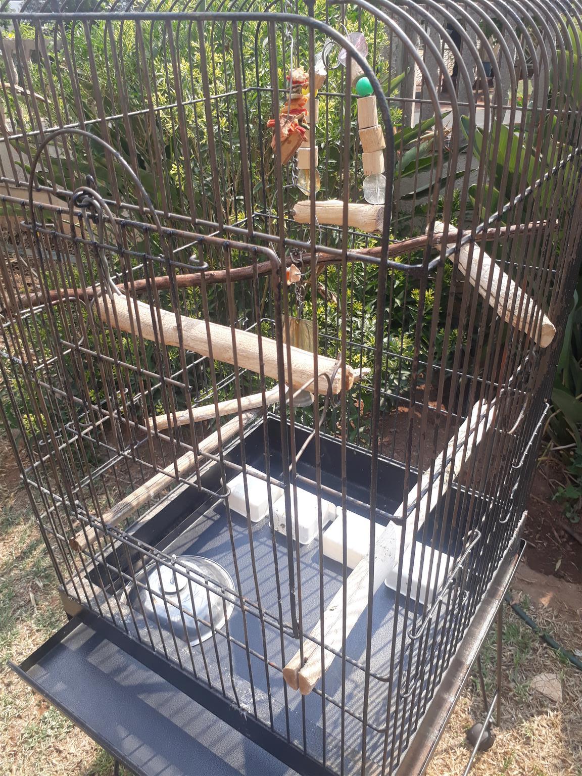 second hand parrot cages