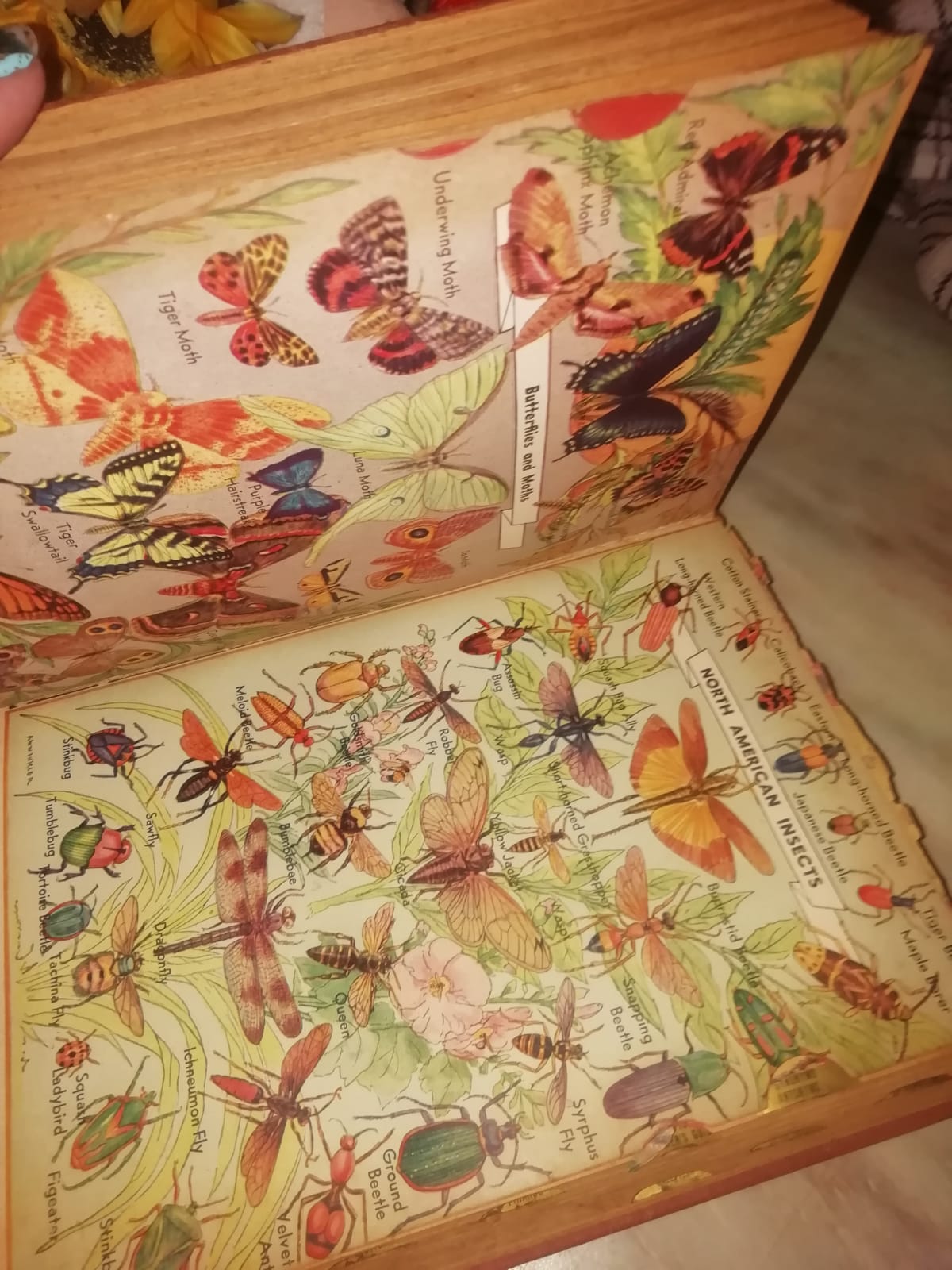 Encyclopedia Dictionary 1947 Franklin Edition In VERY GOOD condition