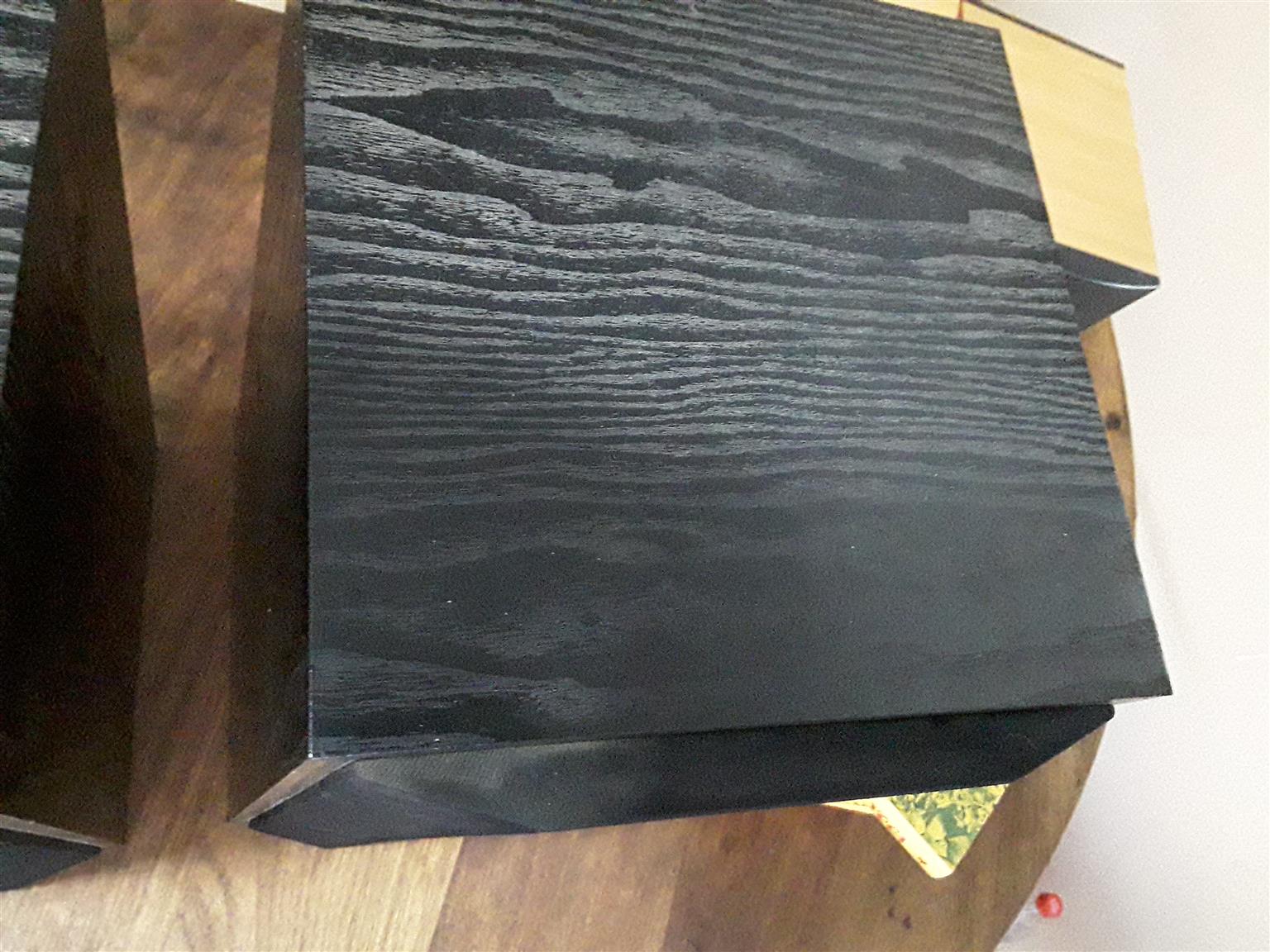 Cerwin Vega Speakers