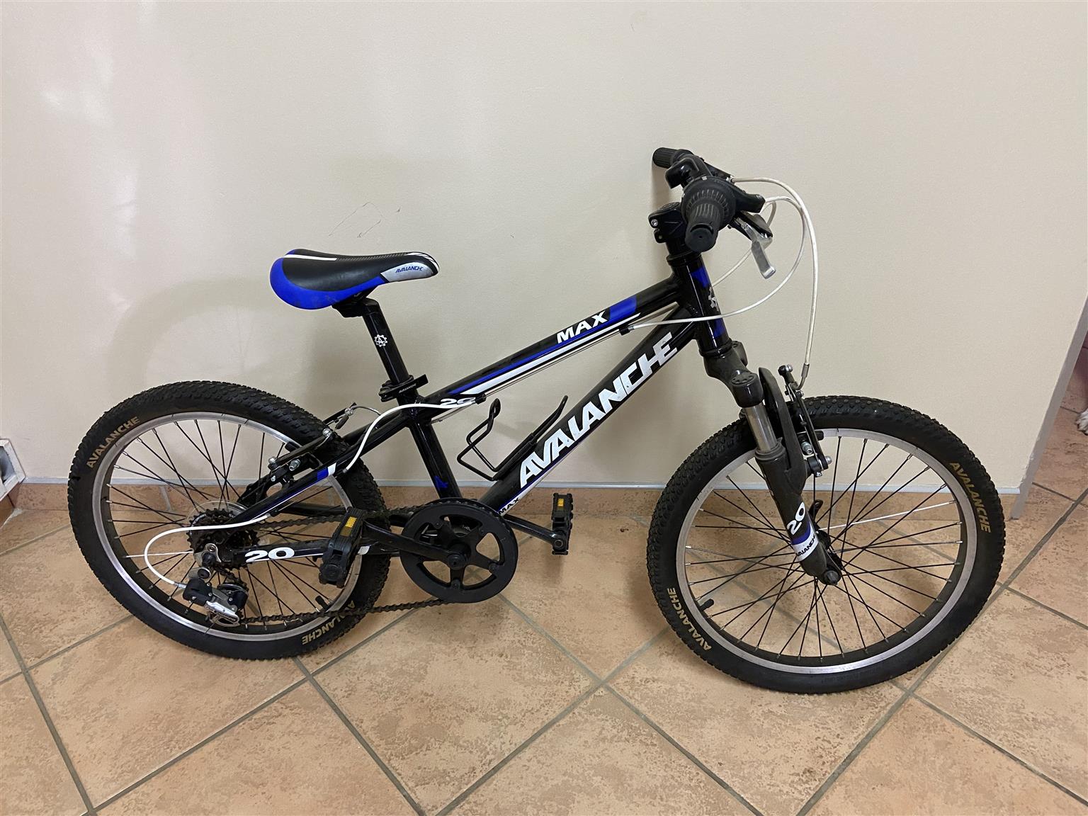 Avalanche bikes cheap 20 inch