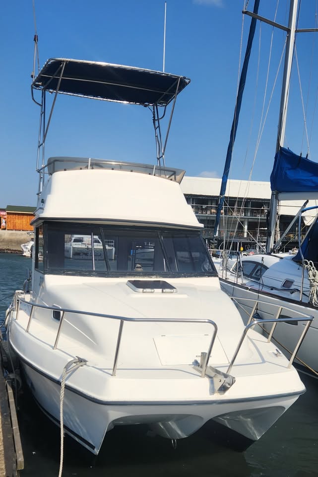 2008 COBRA CAT 800 CABIN