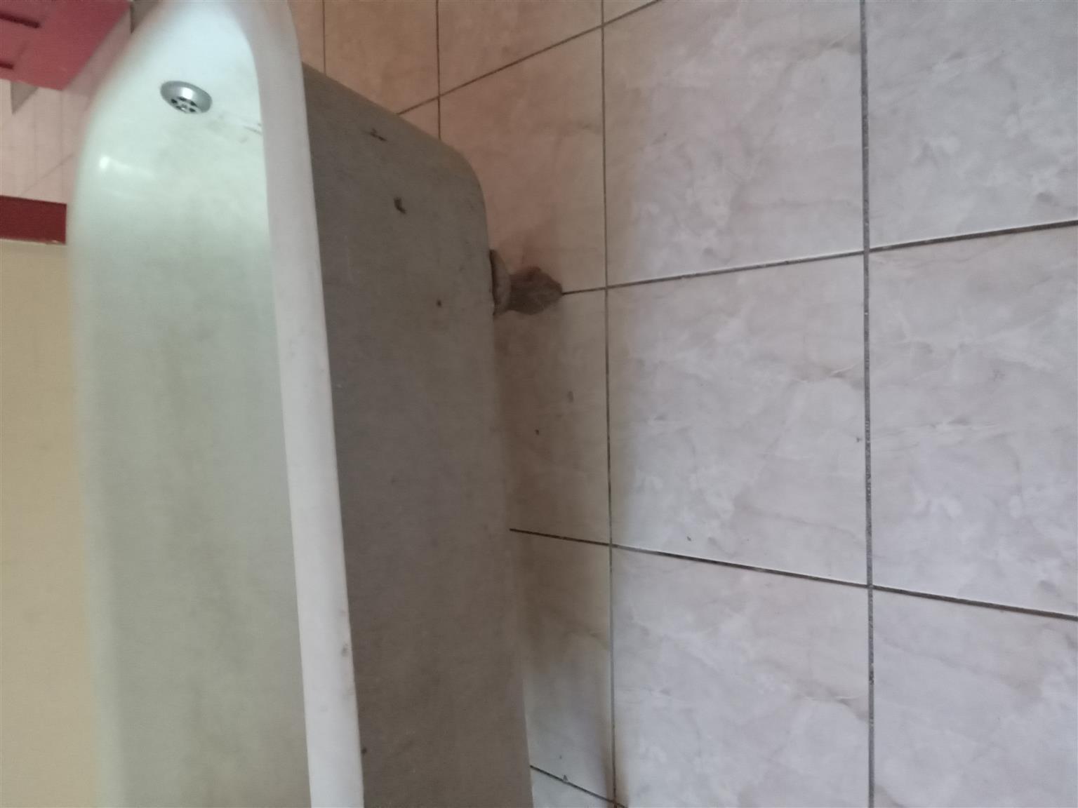 Cast iron bath tubs claw foot