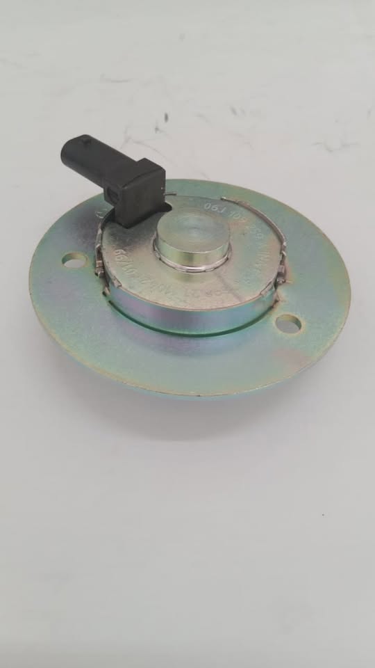 Camshaft Adjuster Magnet Cylinder Head by SWGE® - Private Seller
