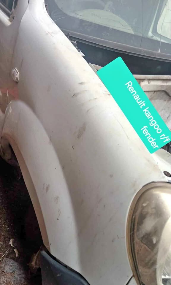 Renault Kangoo R/F Fender