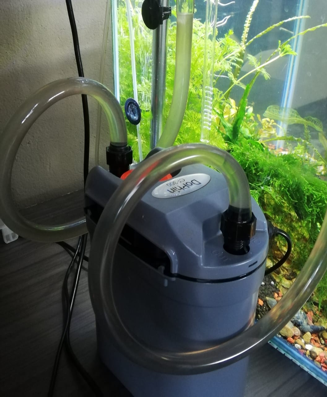 95 litre Scape Tank Complete | Junk Mail Marketplace