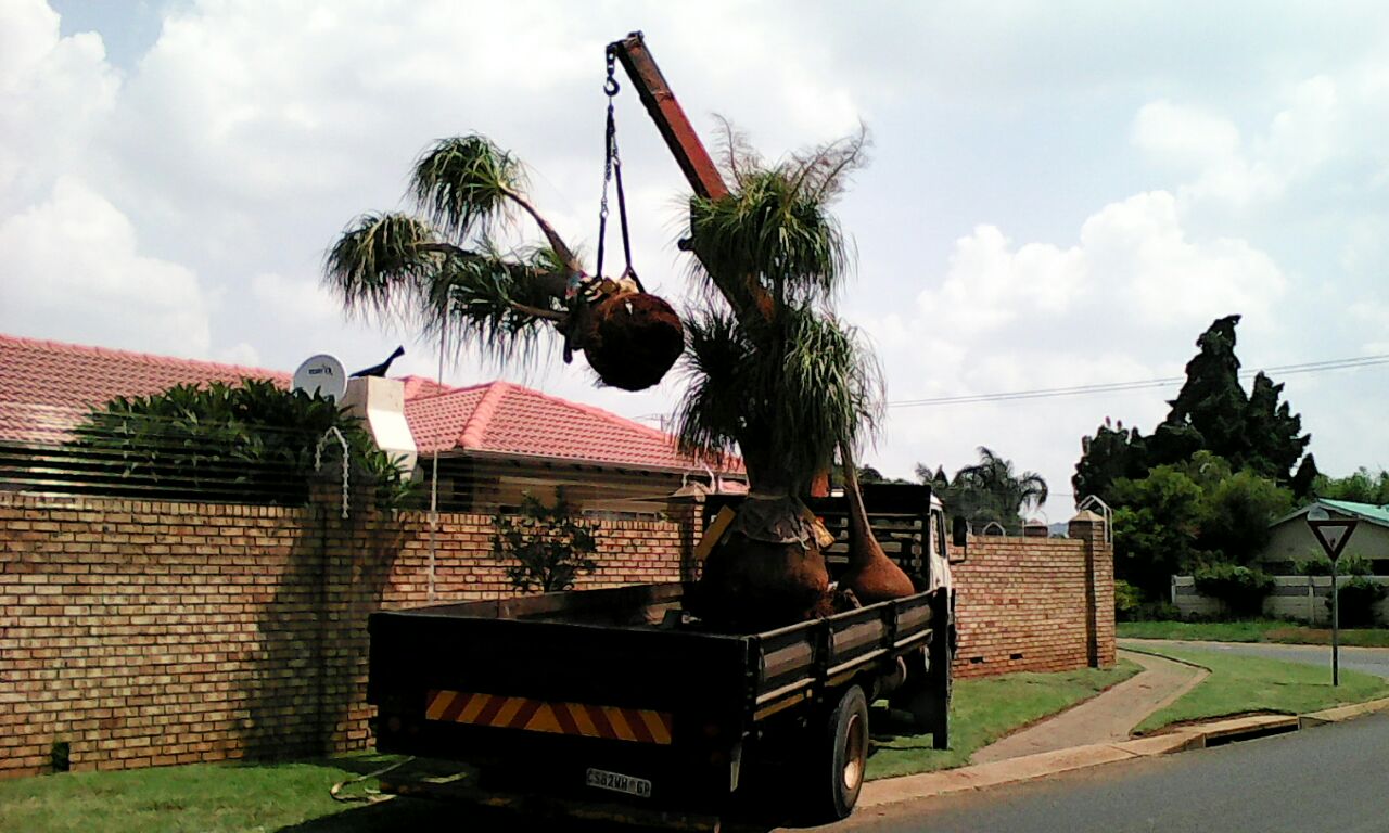 Crane Truck Hire Junk Mail