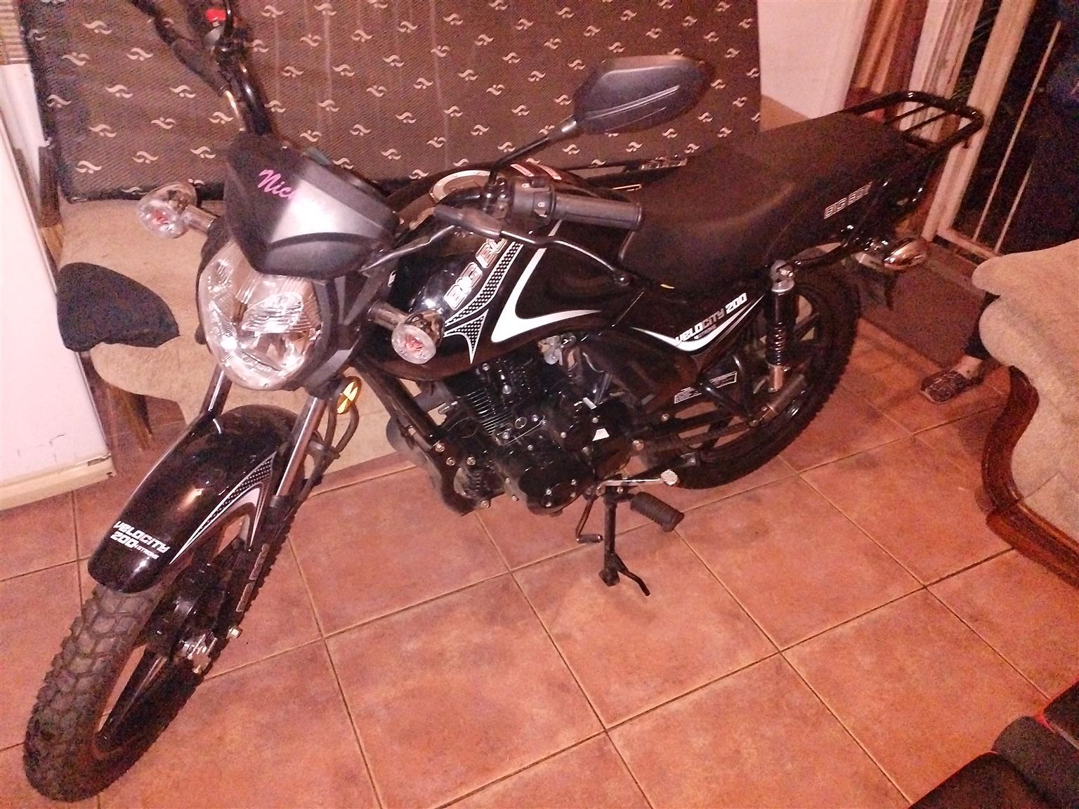 Big boy clearance 200cc for sale