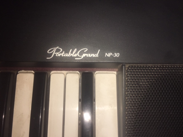 Yamaha Portable Grand Np 30 Piano Junk Mail