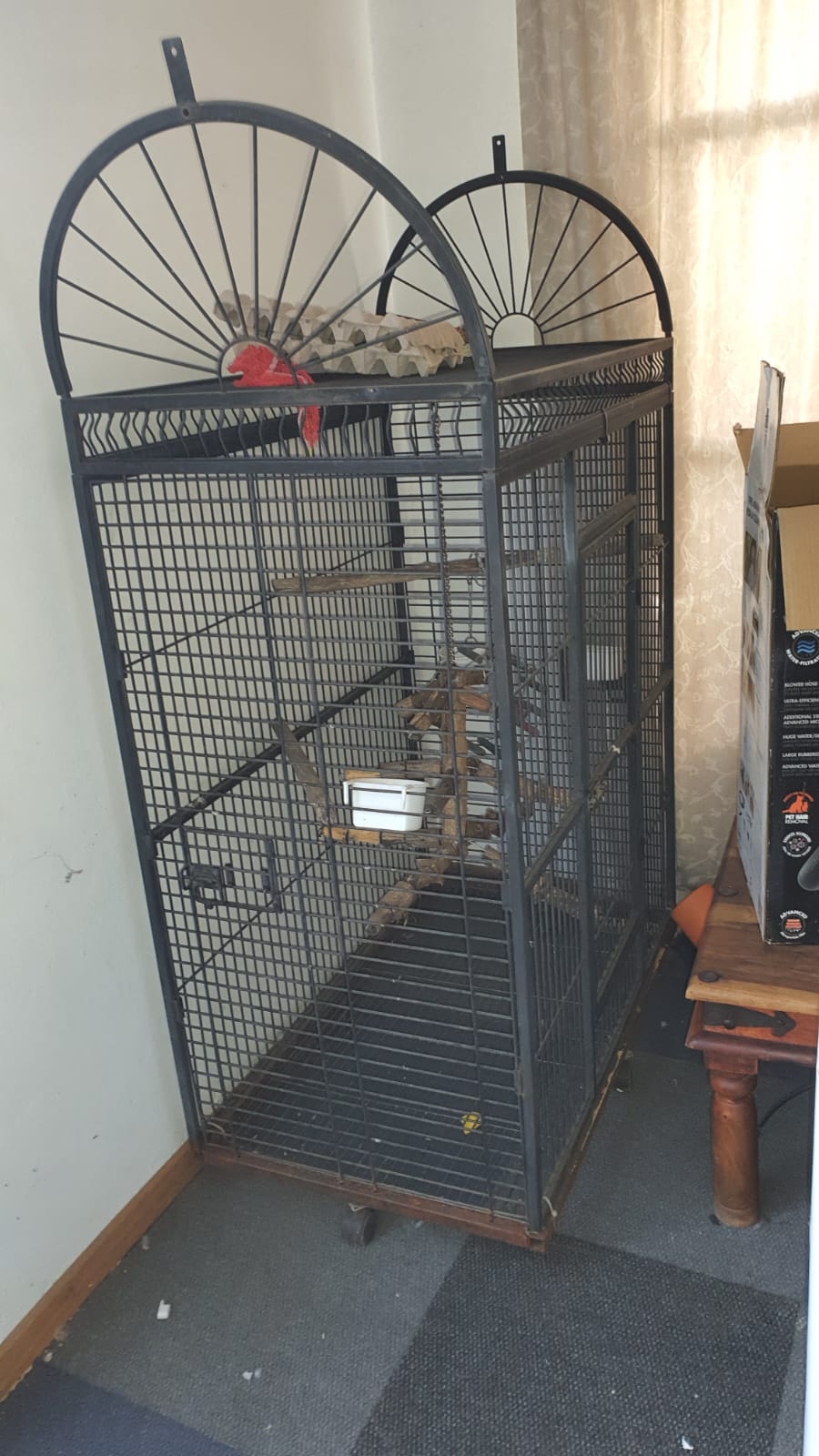 View of DARO WROUGHT IRON PARROT CAGE ON WHEELS. | Junk Mail