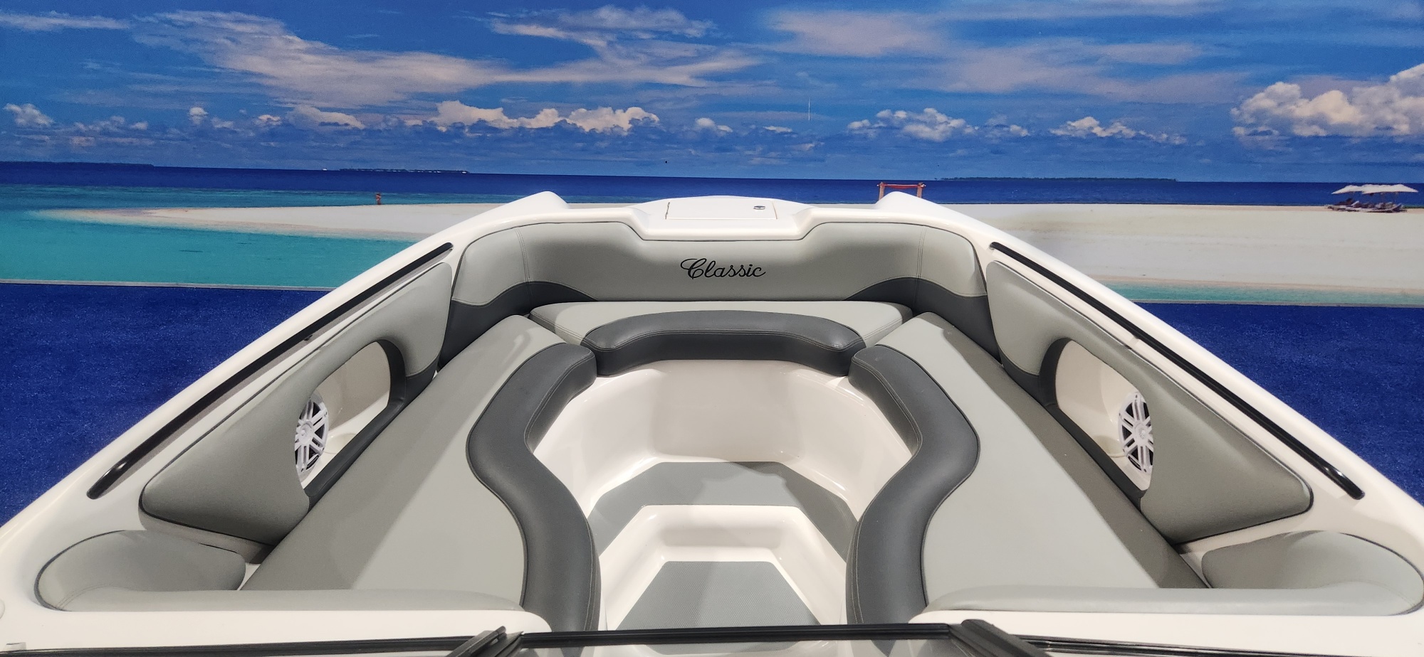CLASSIC 230 ON TRAILER 300 HP SUZUKI 4 STROKE 2024 MODEL 19 HOUR