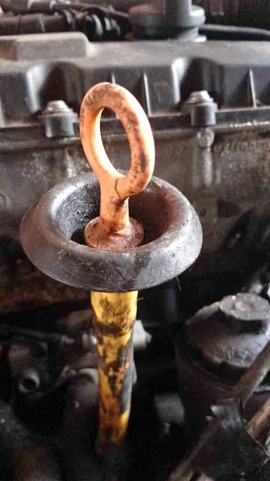 VW golf 5 2.0 TDI dipstick