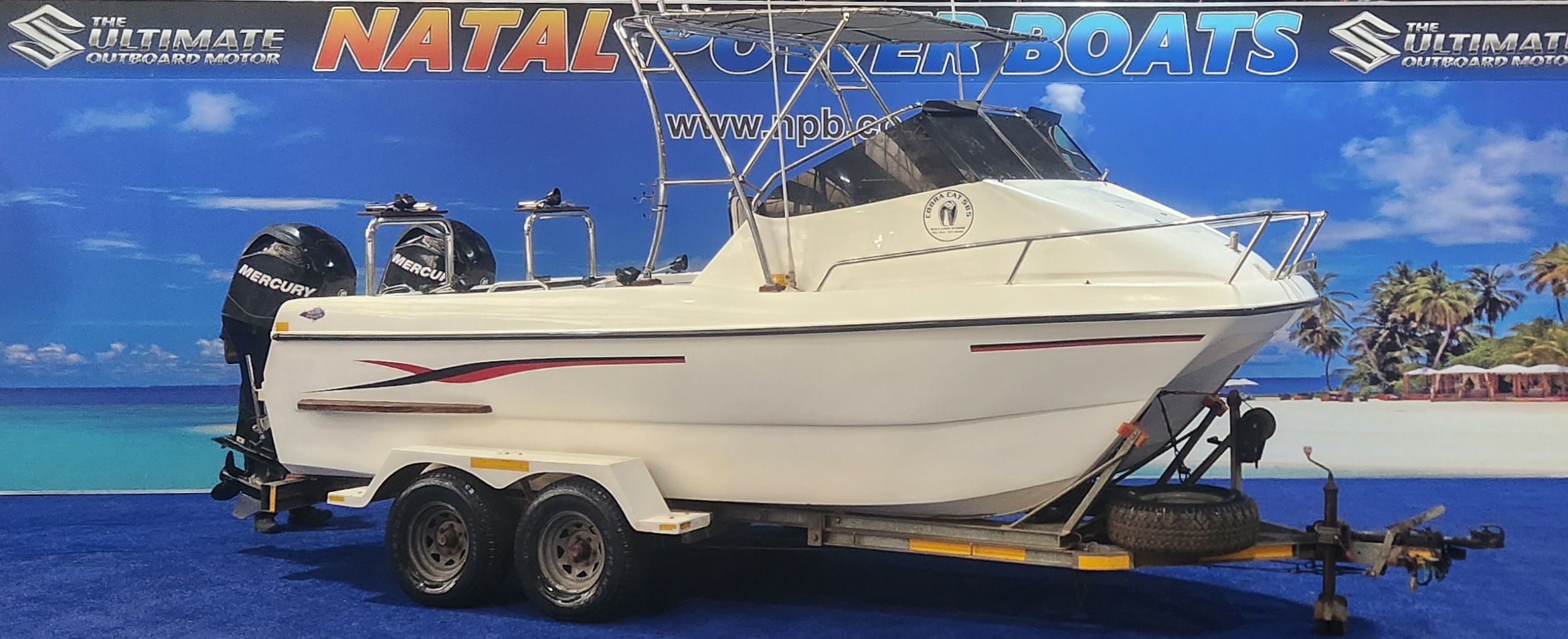 COBRA CAT 585 ON TRAILER 2 X 100 HO MERCURY 4 STROKES FINANCE ARRANGED - Private Seller