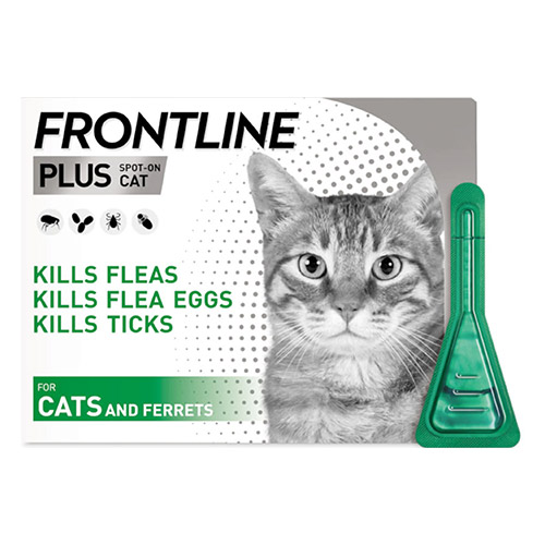 Best Treatment for Cat & Kitties - Infested with Fleas & Ticks			