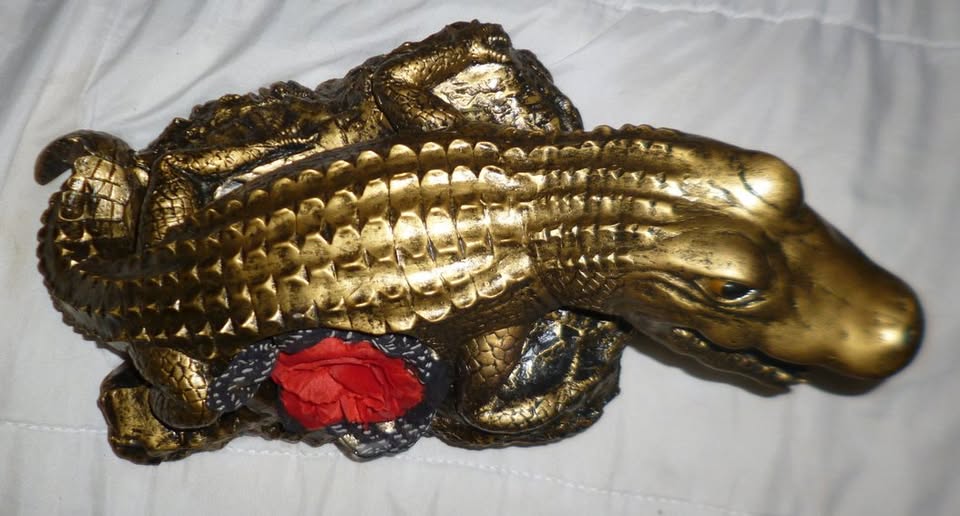 Happy Crocodile