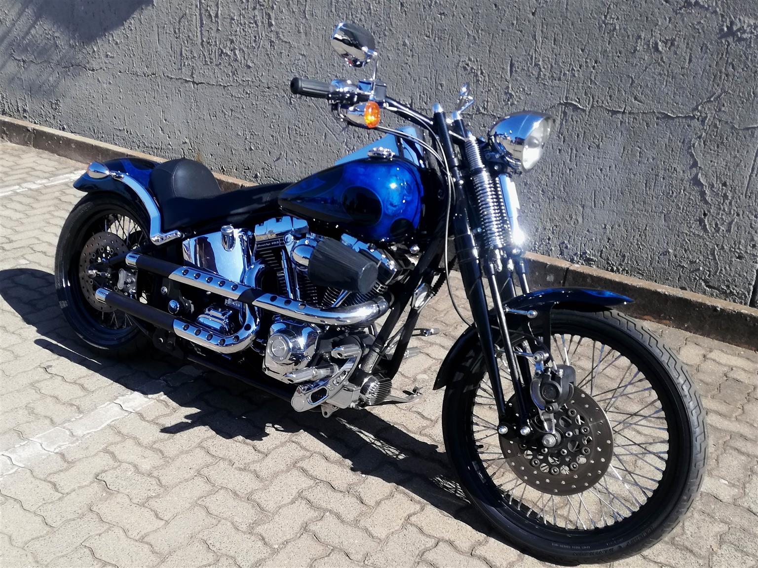 Scarce, Well Looked After Thunder Mountain Springer | Junk Mail