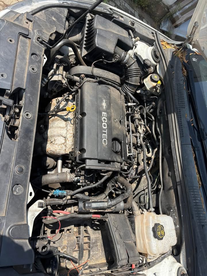 Preloaded Image 3