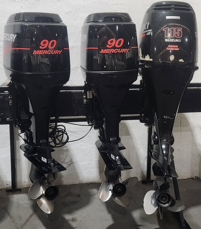2010 OUTBOARD MOTROS 2 AND 4 STROKES