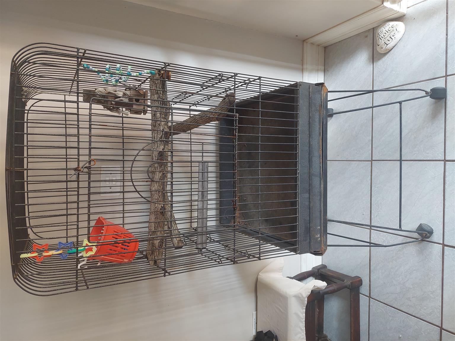 lg parrot cage