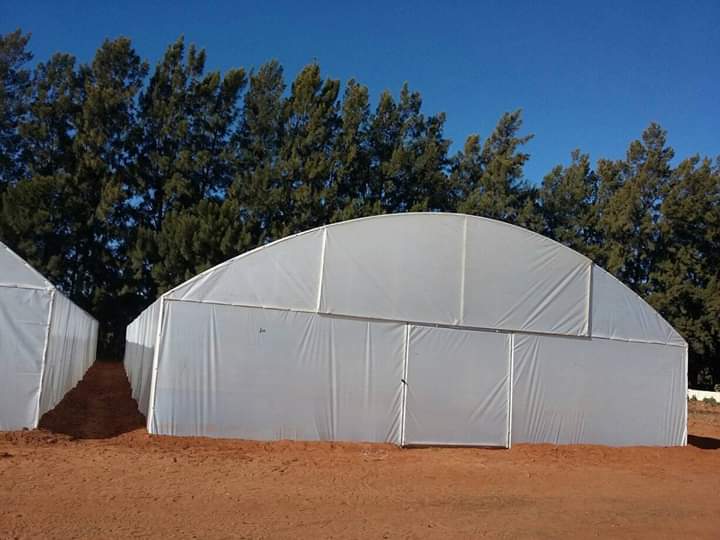 GREENHOUSE TUNNELS FOR SALE 
