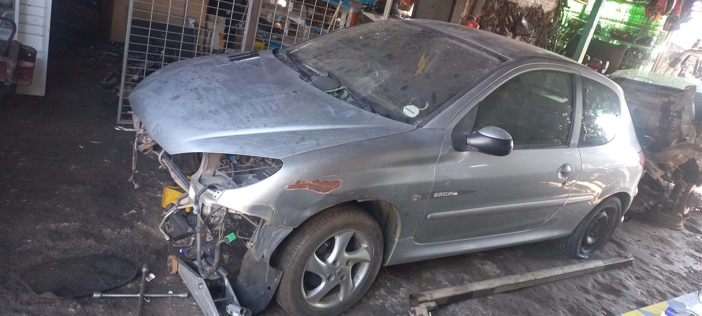 Peugeot 206 2005 stripping