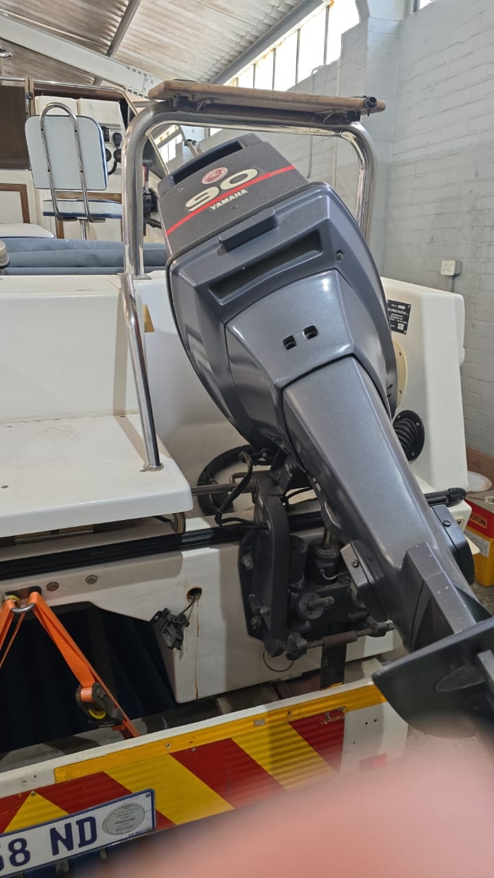 SKI BOAT COBRACAT 2x 90 HP yamaha