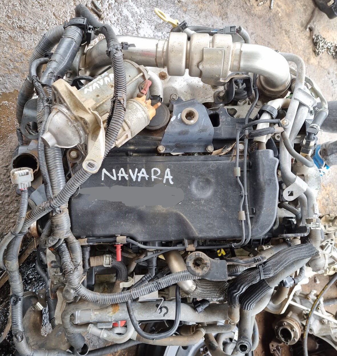 Nissan Navara 2.3 YS23 Engine for Sale - Private Seller Nissan Navara 2.3 YS23 Engine for Sale - Private Seller