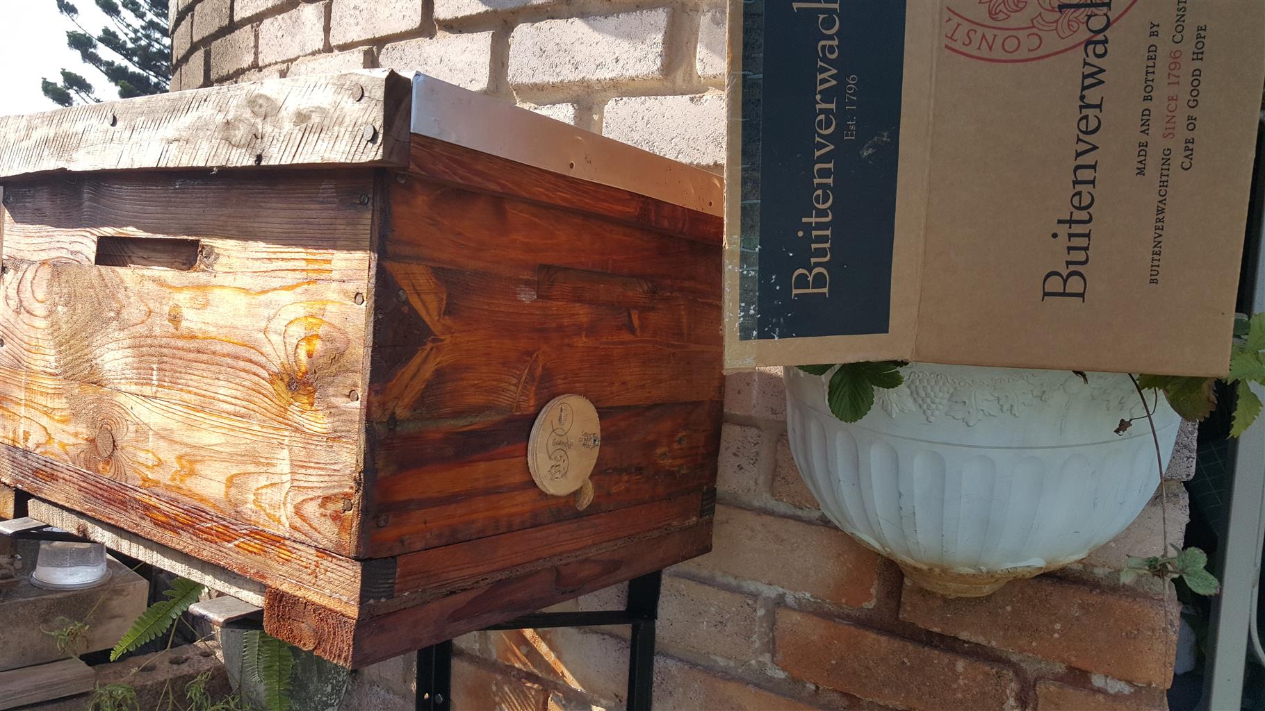 Bee Hive and Bees for sale
