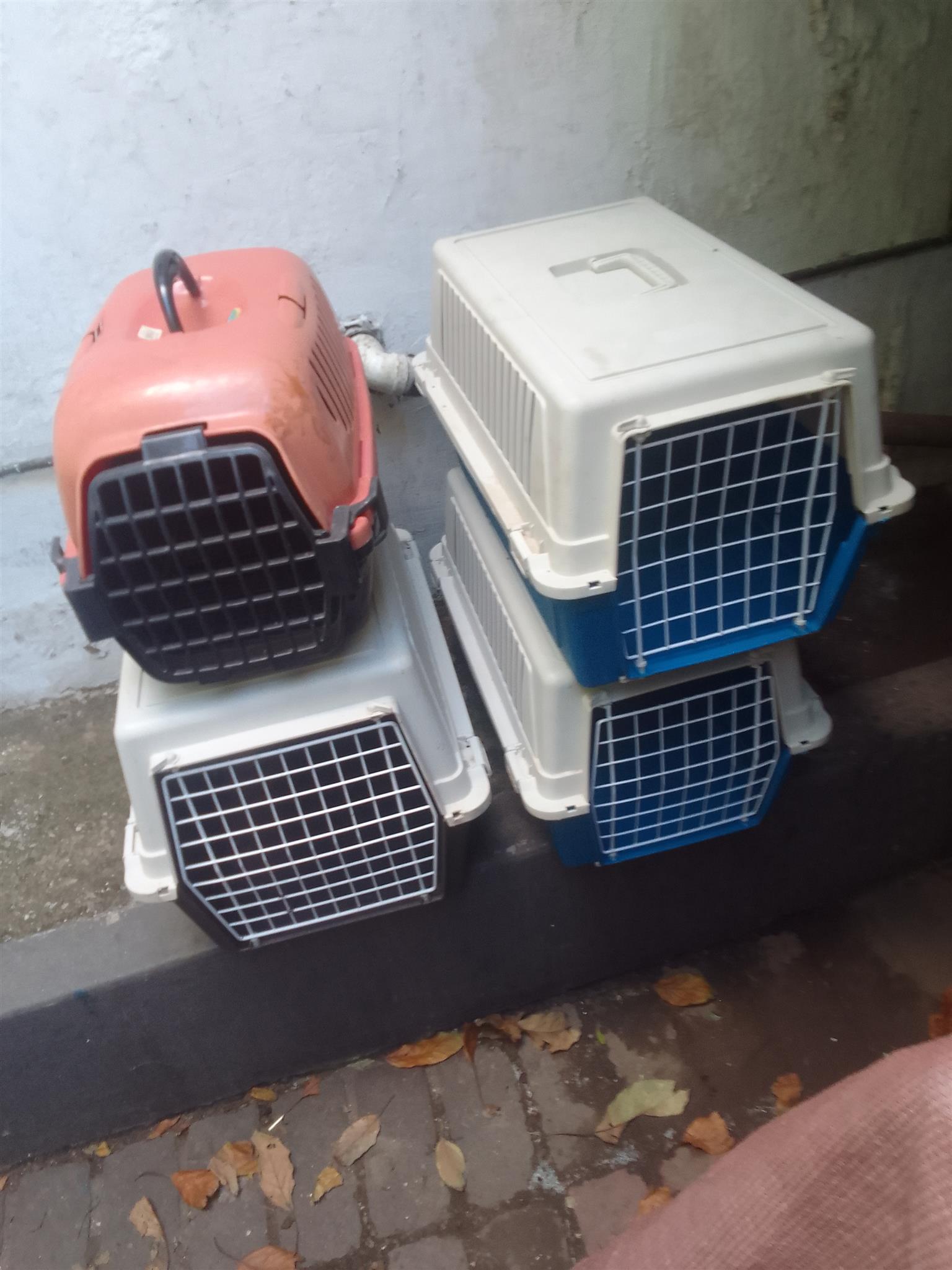 Pet Carriers x four.