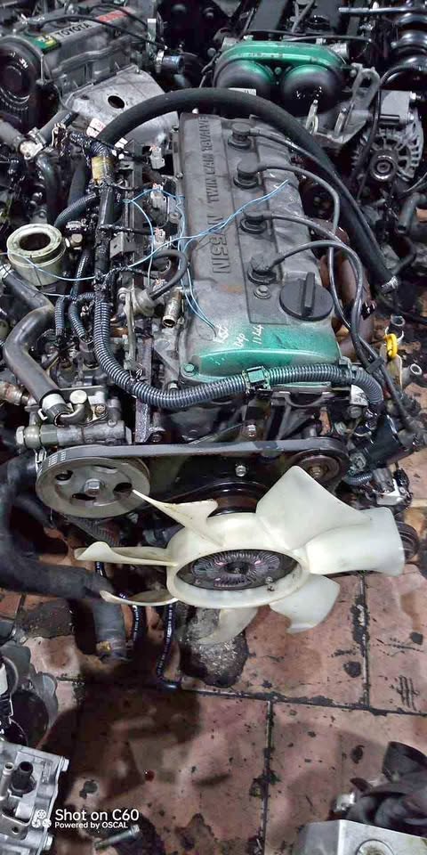 Nissan hardbody ka24 16v - Private Seller Nissan hardbody ka24 16v - Private Seller