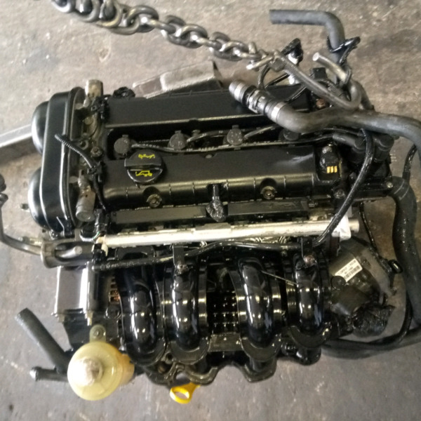 Ford Duratec 1.6 Dual VVT (4 Sensors) Engine for Sale